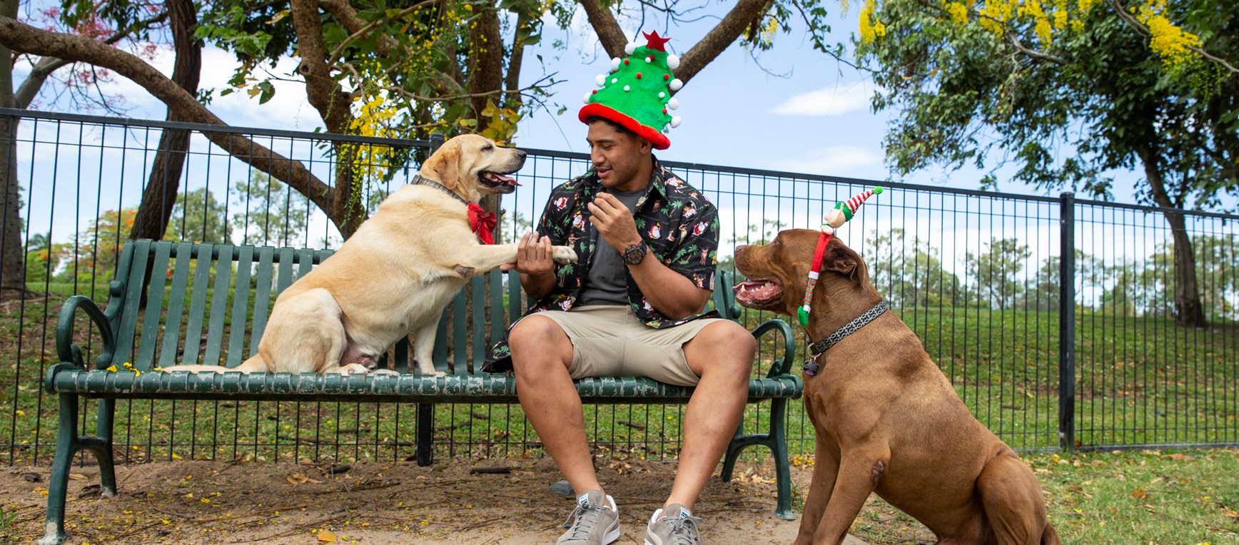 The best of Jase's Christmas shoot with his dogs