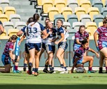 Gold Stars team list: Round 1 v Tweed Seagulls